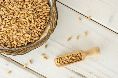 Lot of whole fresh beige dinkel wheat grain in old iron bowl with wooden scoop flatlay on white woodの写真素材