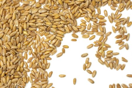 Lot of whole raw fresh beige dinkel wheat grain flatlay isolated on white backgroundの写真素材