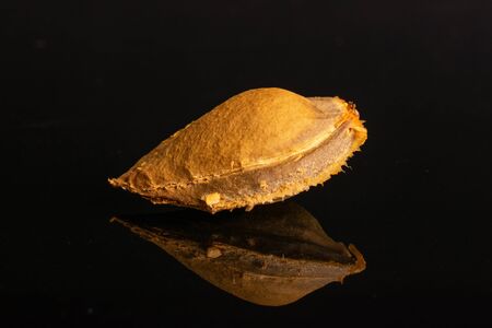 An apricot stone isolated on black glass