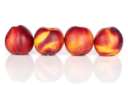 Group of four whole fresh red nectarine in a row isolated on white backgroundの写真素材