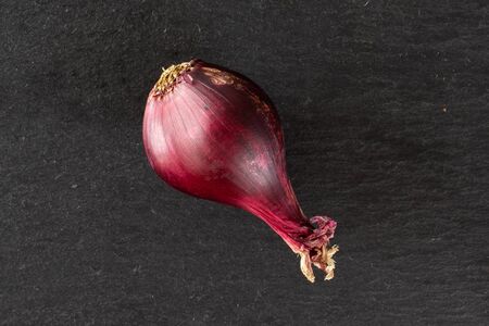 One whole stale red onion flatlay on grey stoneの写真素材
