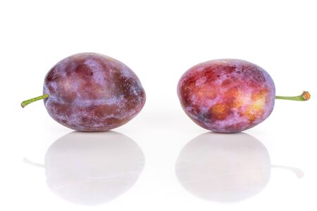Group of two whole fresh blue plum isolated on white backgroundの写真素材