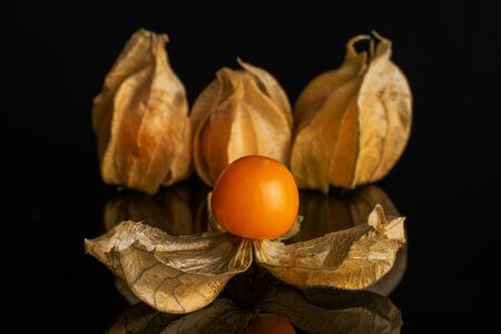 Group of four whole fresh orange physalis isolated on black glassの写真素材