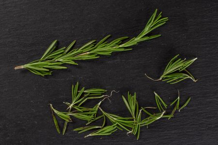 One whole lot of pieces of fresh evergreen sprig of rosemary needle leaves flatlay on grey stoneの写真素材