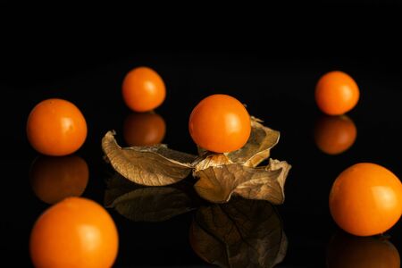 Group of six whole fresh orange physalis isolated on black glassの写真素材