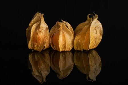 Group of three whole fresh orange physalis with husk in row isolated on black glassの写真素材