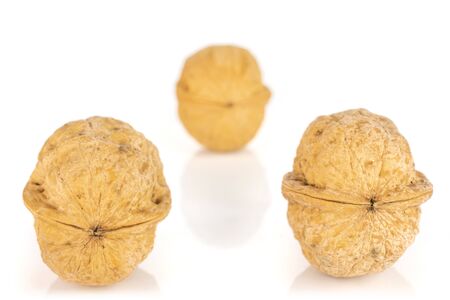 Group of three whole ripe brown walnut arranged symmetrically isolated on white backgroundの写真素材