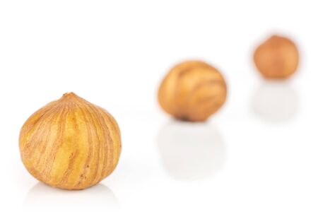 Group of three whole ripe brown hazelnut placed diagonally in line in closeup isolated on white backgroundの写真素材