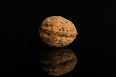 One whole ripe brown walnut in shell isolated on black glassの写真素材