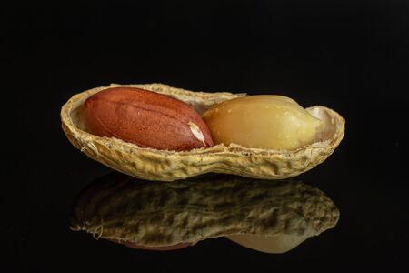 Group of two whole one piece of natural yellow peanut one with skin in closeup isolated on black...