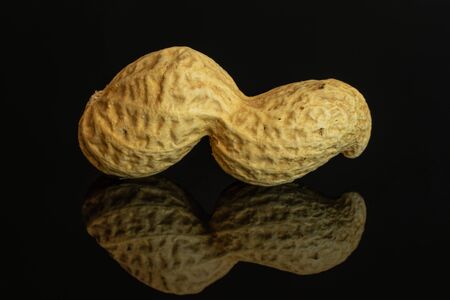 One whole curvy natural yellow peanut in closeup isolated on black glass