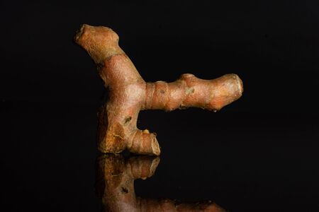 One whole bright turmeric rhizome isolated on black glass