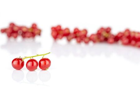 Lot of whole fresh red currant front focus isolated on white backgroundの写真素材
