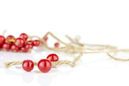 Lot of whole fresh red currant with jute rope isolated on white backgroundの写真素材