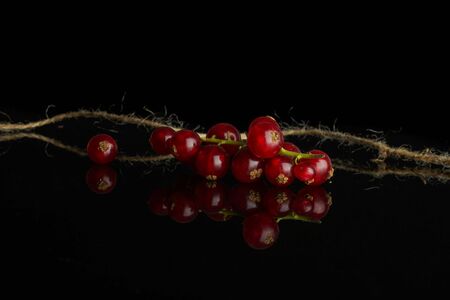 Lot of whole fresh red currant with jute rope isolated on black glass