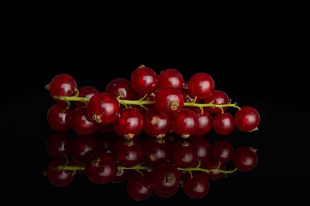 Lot of whole fresh red currant isolated on black glassの写真素材