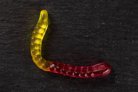 One whole crimson yellow colourful jelly worm candy flatlay on grey stone
