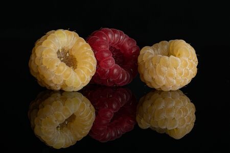 Group of two whole fresh golden hymalayan raspberry with one red berry isolated on black glassの写真素材