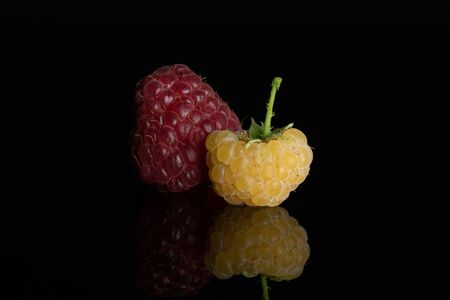 One whole fresh golden hymalayan raspberry with one red berry isolated on black glassの写真素材