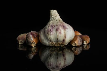 One whole lot of pieces of organic white garlic allium sativum isolated on black glassの写真素材