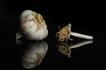 Group of one whole one piece of organic white garlic allium sativum isolated on black glassの写真素材