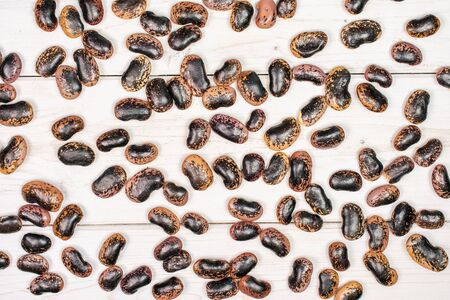 Lot of whole stained purple bean flatlay on white woodの写真素材