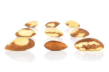 Group of nine whole raw brown brazil nut isolated on white backgroundの写真素材