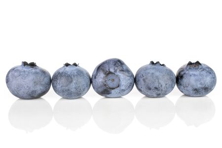 Group of five whole fresh blue bilberry in row isolated on white backgroundの写真素材