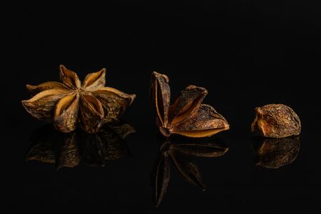 Group of one whole one quarter one piece of dry brown star anise illicium verum isolated on black glassの写真素材