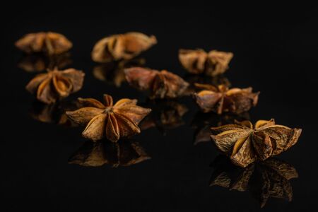 Lot of whole dry brown star anise illicium verum isolated on black glassの写真素材