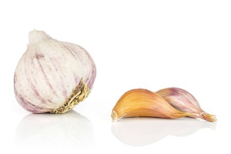Group of one whole two pieces of organic white garlic allium sativum isolated on white backgroundの写真素材