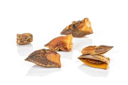 Group of five pieces of dry brown star anise illicium verum isolated on white background