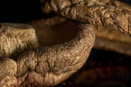 Closeup of two whole dry mushroom shiitake isolated on black glassの写真素材