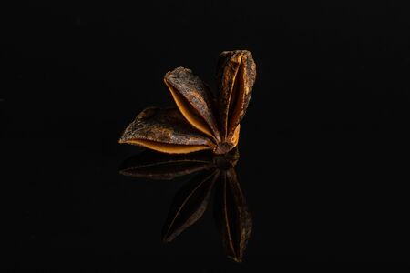 One quarter of dry brown star anise illicium verum isolated on black glassの写真素材