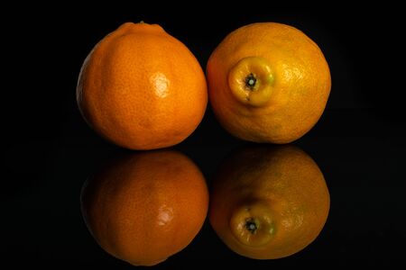 Group of two whole fresh orange tangelo minneola isolated on black glassの写真素材