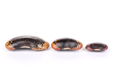 Group of three whole stained purple bean isolated on white background