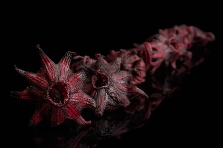 Lot of whole sweet red candied hibiscus placed diagonally isolated on black glassの写真素材