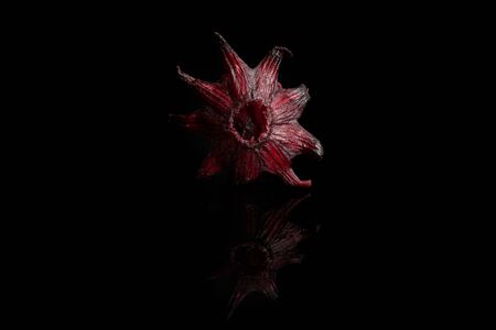 One whole sweet red candied hibiscus isolated on black glassの写真素材