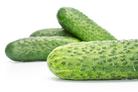 Group of four whole fresh green pickling cucumber one in focus isolated on white backgroundの写真素材