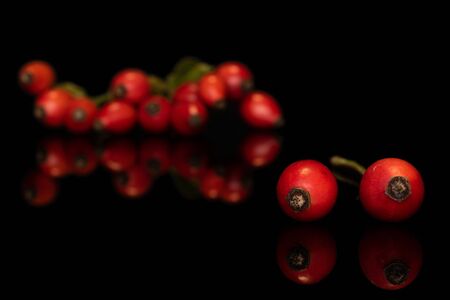 Lot of whole bright fresh red rosehip front focus isolated on black glassの写真素材