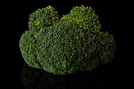 One whole fresh green broccoli front focus isolated on black glass