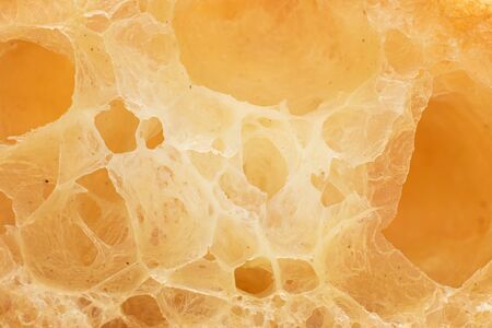One half of baked golden profiterole macro isolated