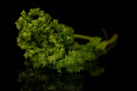 One whole light fresh green parsley isolated on black glassの写真素材