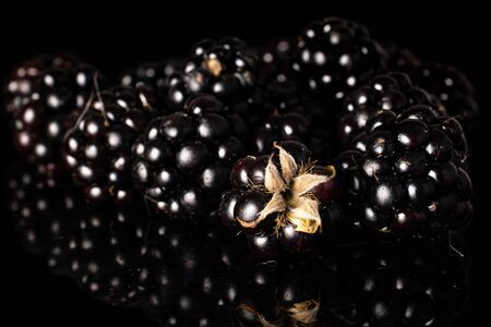 Lot of whole fresh black blackberry isolated on black glassの写真素材