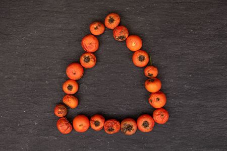 Lot of whole wild orange rowanberry in triangle flatlay on grey stone