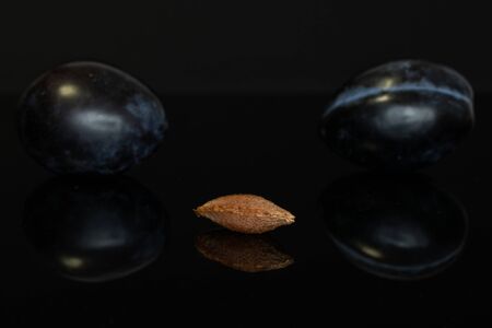 Group of two whole fresh purple plum with one drupe isolated on black glassの写真素材