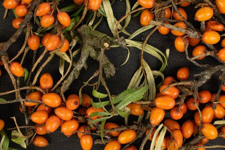 Lot of whole ripe orange sea buckthorn berry heap flatlay on grey stoneの写真素材