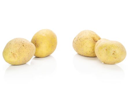 Group of four whole raw brown potato isolated on white backgroundの写真素材