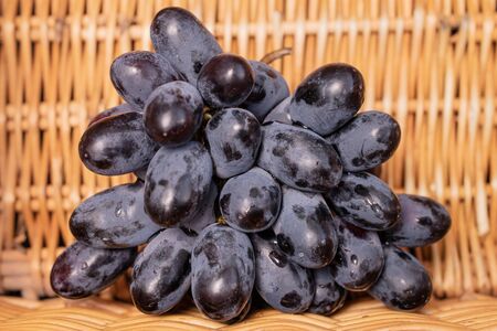 Lot of whole fresh black grape one cluster with braided rattan behindの写真素材