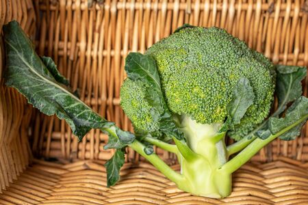 One whole fresh green broccoli with leaves with braided rattan behind
